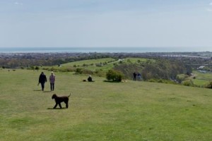 Field with sea in distance. Two people and a dog are in the field.